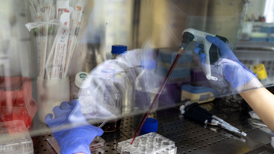 A researcher works inside a laboratory of Chulalongkorn University during the development of a vaccine candidate for the coronavirus disease in Bangkok, Thailand, May 25, 2020. A researcher's hands are shown working with a medical tool with a red liquid inside and through a piece of glass.