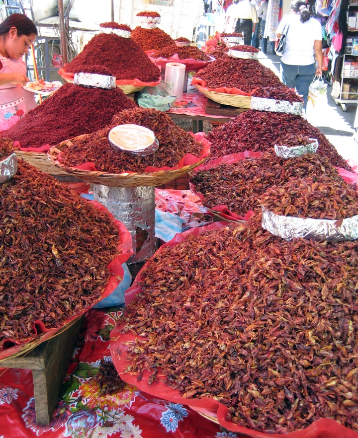 Chapulines at a market Rows of bowls filled with savory grasshoppers at a Mexico market