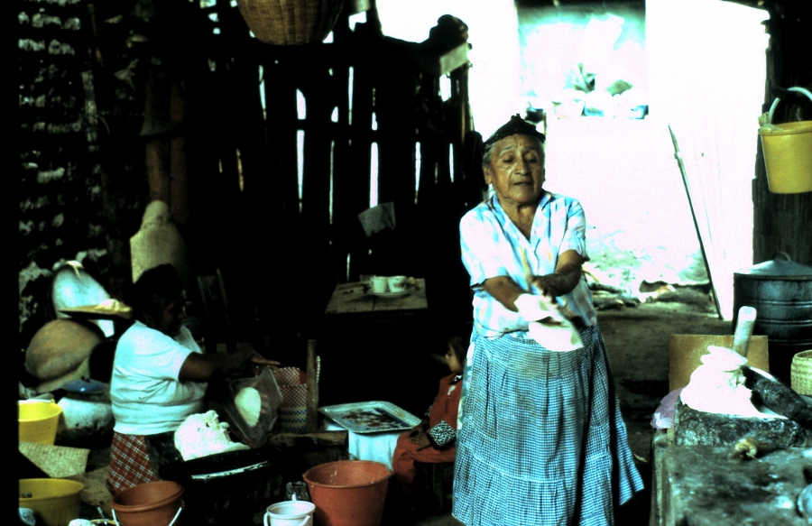 A Zapotec woman making tamales using locally grown maiz, or corn. A woman stands up while molding tamales with her hands.