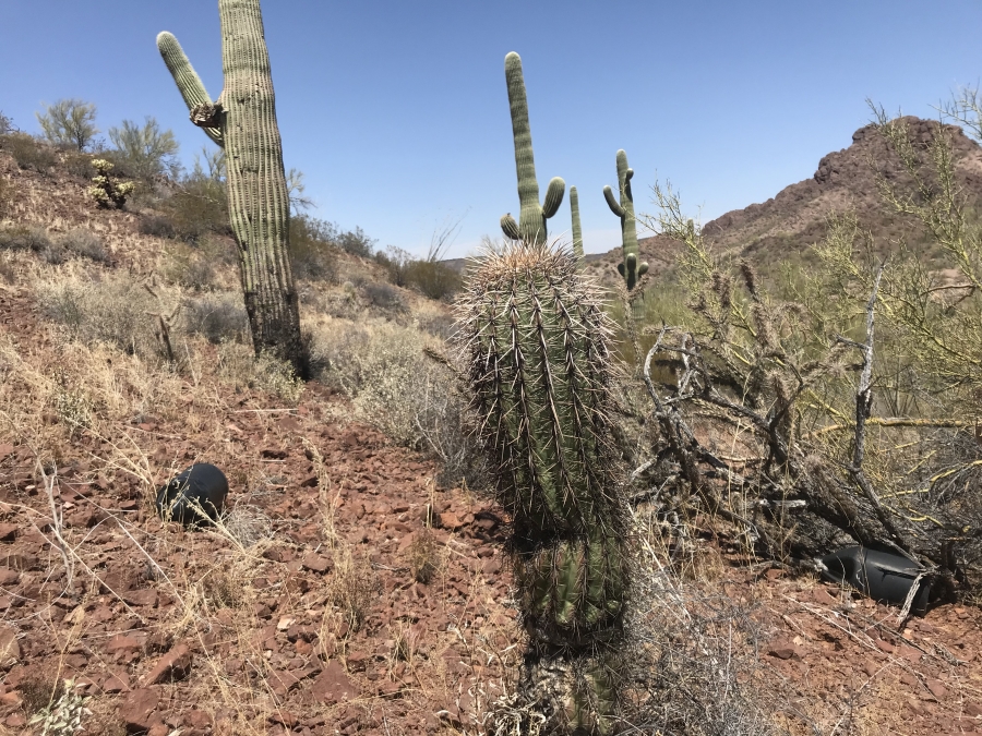 Migrants face challenges while crossing border into the US Dry desert spotted with cacti and abandoned water bottles