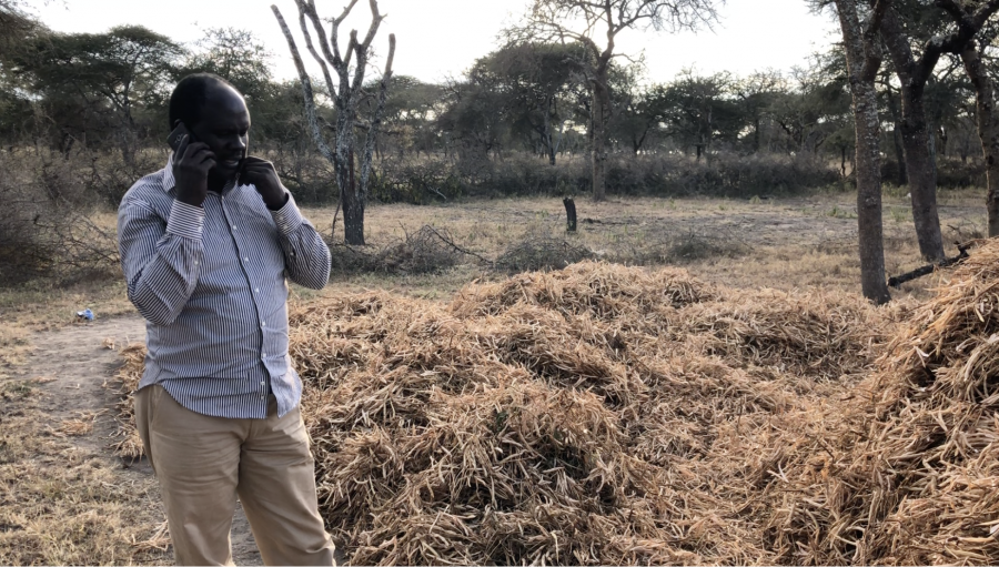 A Maasai man talks on his phone near his neighbor’s bean harvest. A Maasai man talks on his phone near his neighbor’s bean harvest.