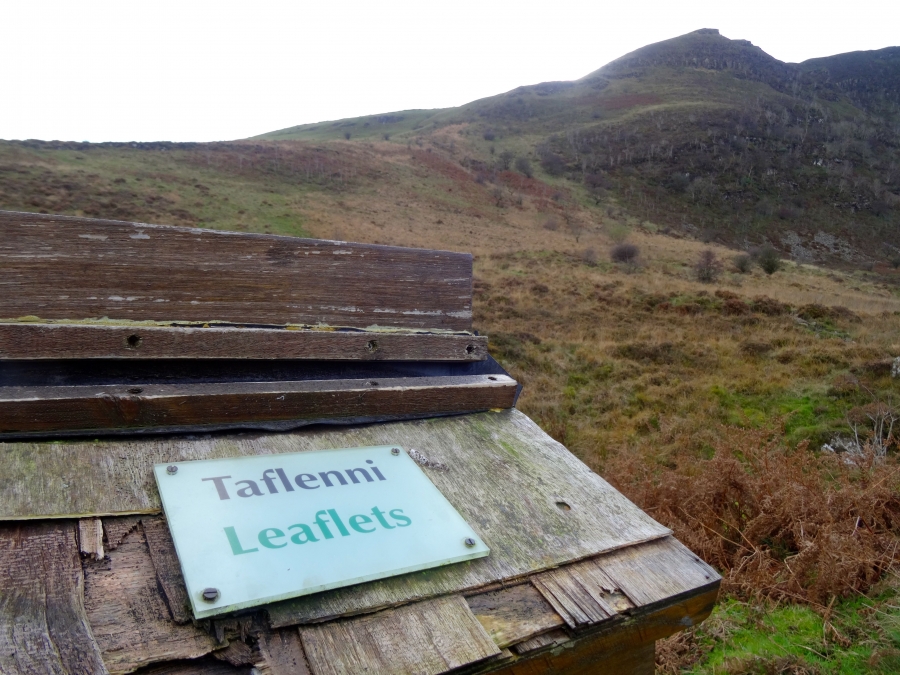 Wales is mountainous-- and bilingual. Wales is mountainous-- and bilingual.