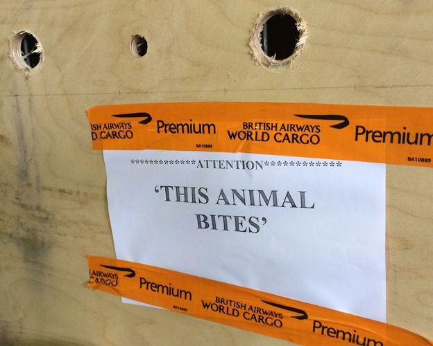 Label on Phevos' crate.