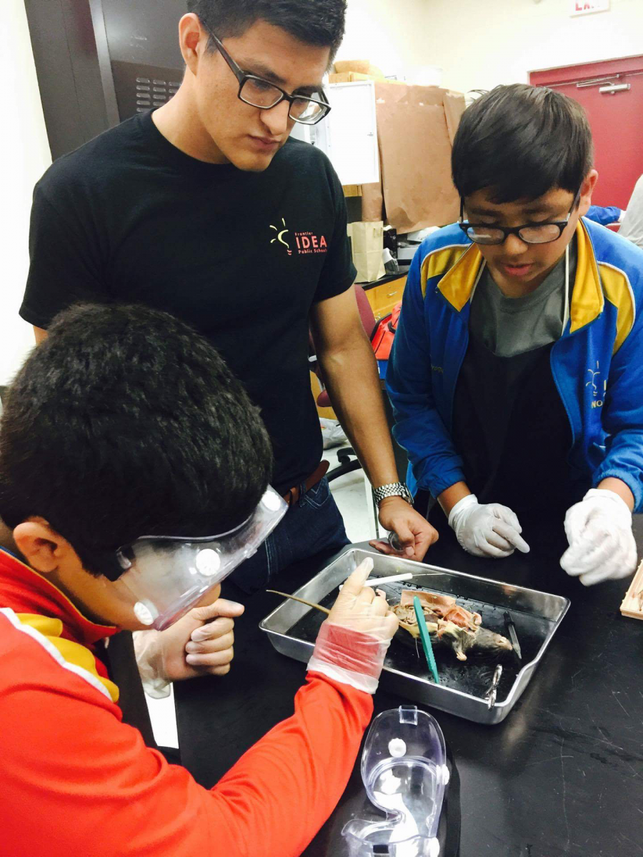 teacher looking over two students who are dissecting an animal