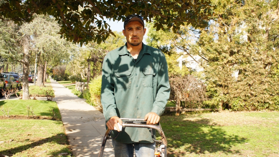 gardender gardener