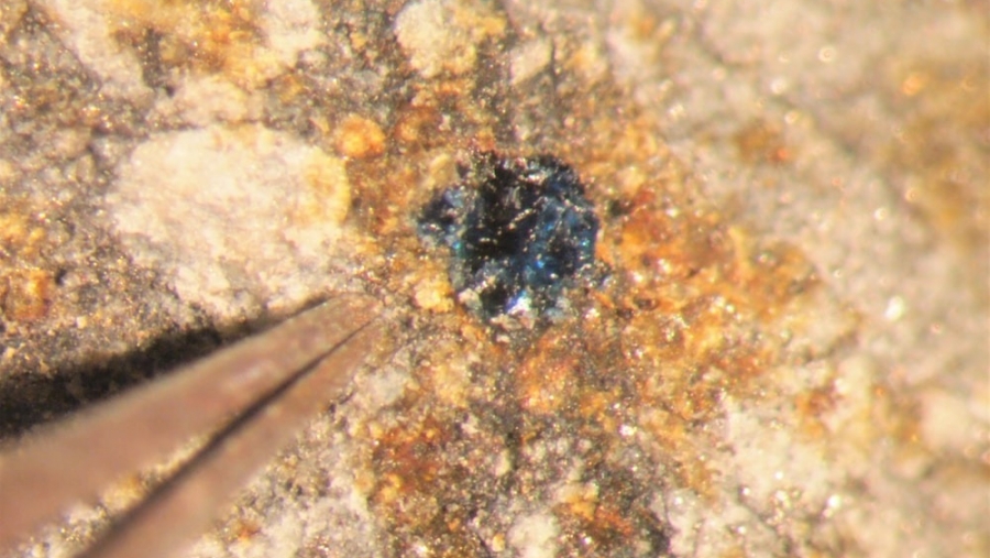 Blue halite crystal The small size of the blue halite crystals found in two meteorites is shown next to a pair of tweezers.
