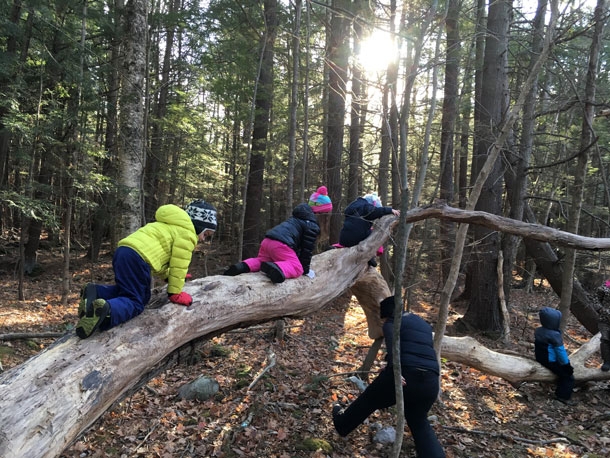 Kids playing on tree