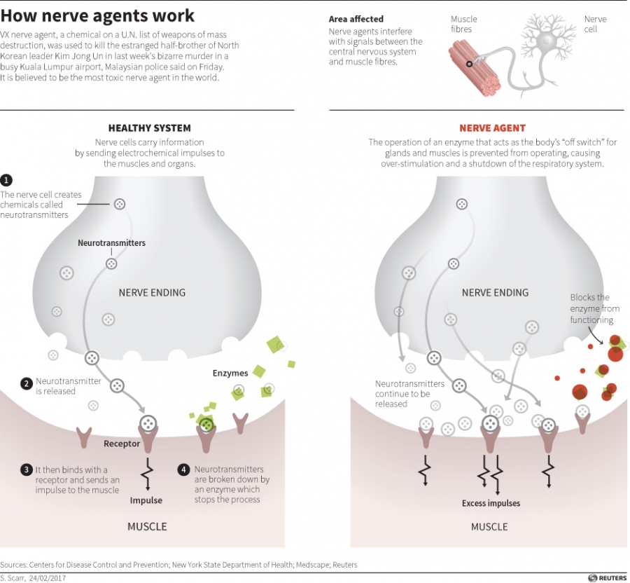 The World S Most Sophisticated Nerve Agent Was Used To Kill The Brother Of North Korea S Leader