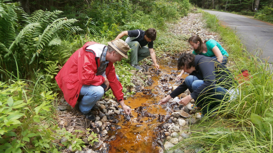 David Emerson and microbiologists sampling iron-oxidizing bacteria (Photo: Ari Daniel)