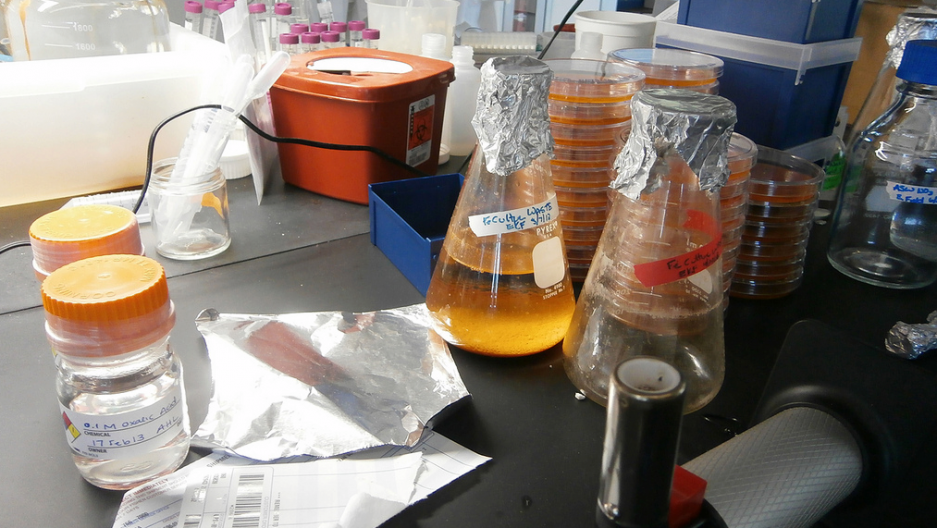 Microbiologist David Emerson’s lab (Photo: Ari Daniel)