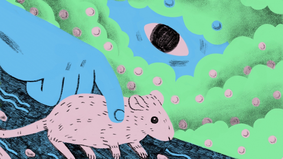Undiscovered Mouses Vinyard