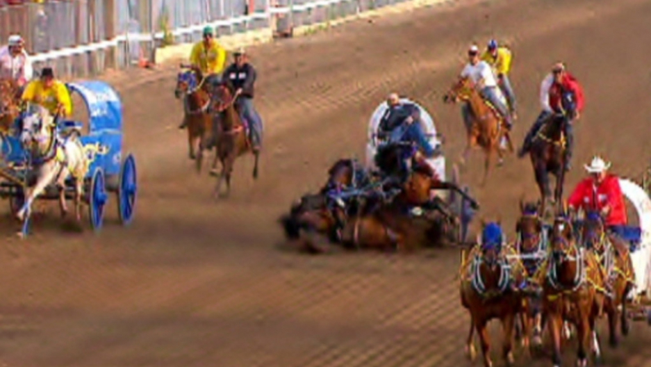 3 horses killed in Calgary Stampede race (VIDEO) The World from PRX