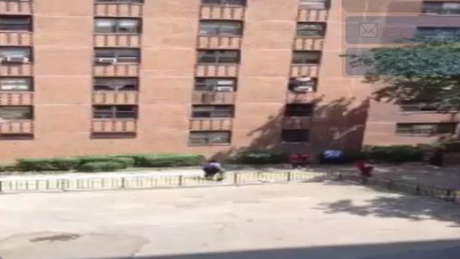 st bernard apartment