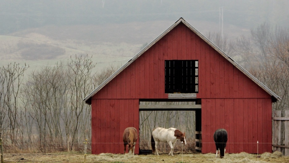 Special Ed Needs To Change Vermont >> After Trump Says America Is Full Vermont Says Not Us Public Special Ed Needs To Change Vermont >> After Trump Says America Is Full Vermont Says Not Us Public