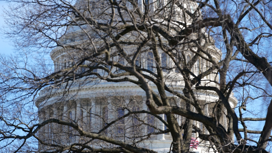 The US Capitol dome stands above bare tree branches in Washington, Jan. 9, 2021. The stone facade of the US Capitol dome is shown in the distance through the branches of a tree without leaves.