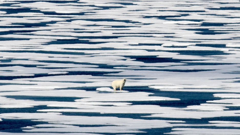 How the Trump administration's climate denial left its mark - Vimarsana News