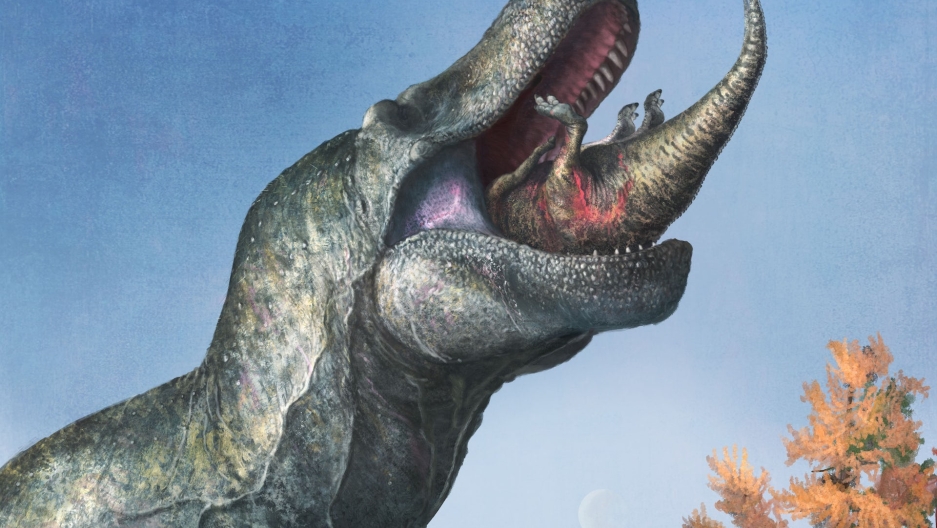 New research shows that T. rex had lips - Vimarsana News