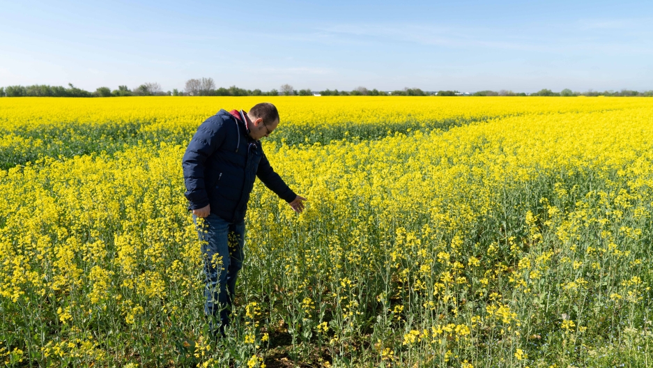'Trade is trade and war is war': Romanian farmers say helping Ukraine is hurting their bottom line - Vimarsana News
