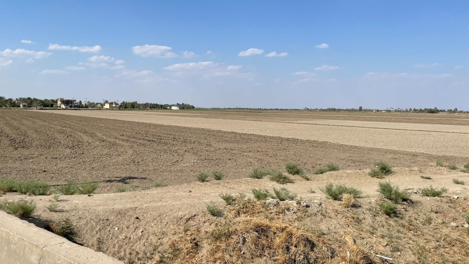 Iraq's signature anbar rice is disappearing amid water shortages - Vimarsana News