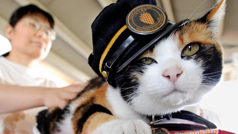 Japan if these ears could speak The World from PRX