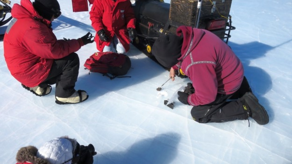 ng a sample from the Antarctic ice.
