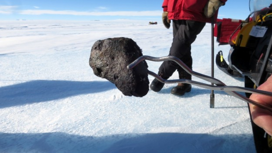 cting a meteorite with sterilized tongs. This one appears to be a carbonaceous chondrite. These meteorites contain high amounts of water and organic compounds and are thought to represent the composition of the solar nebula from which our solar system for