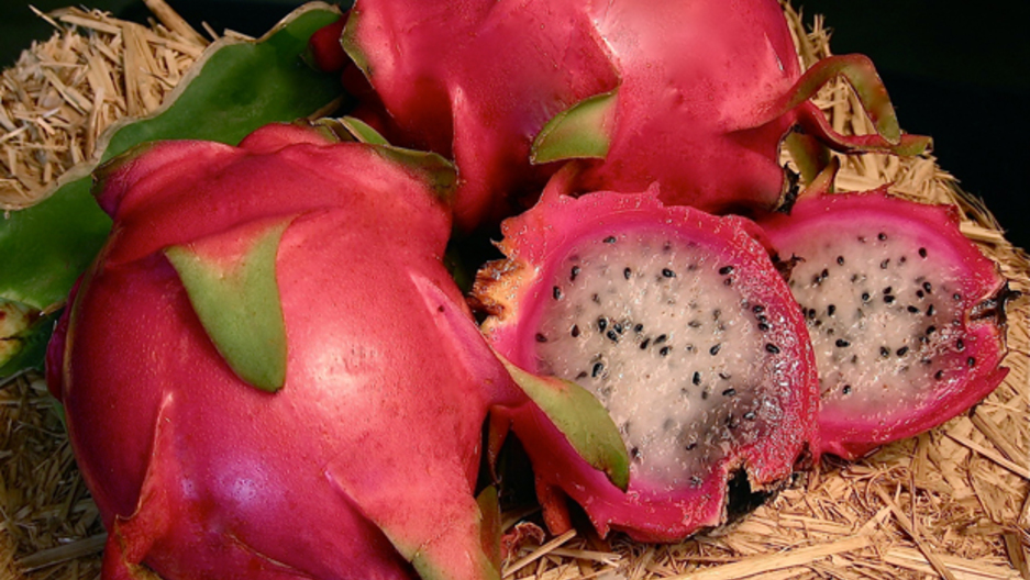 dragon fruit makes its culinary journey to us farms and kitchens