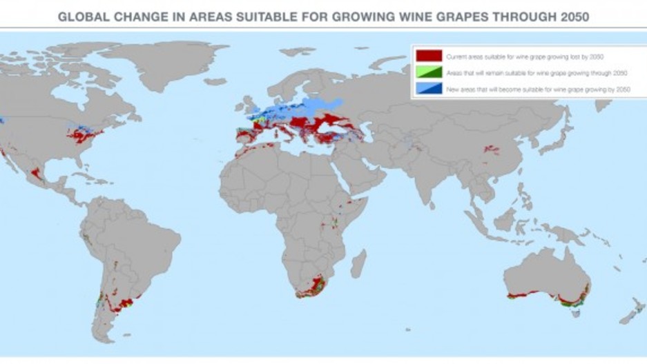 Fastest Growing Wine Producing Region in the World Public Radio