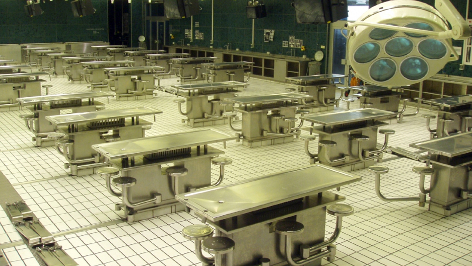 A Better Cadaver The World From Prx