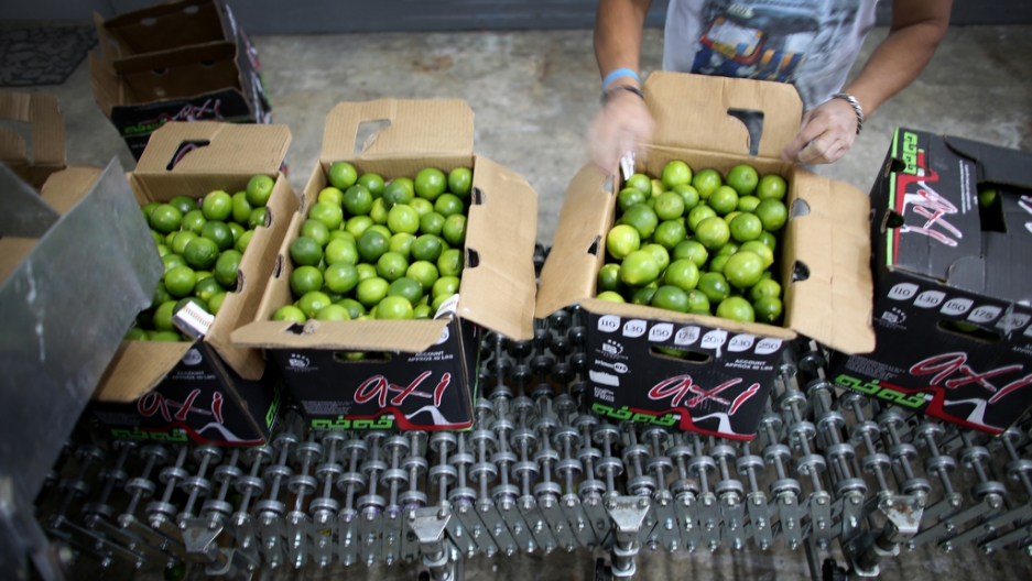 Mexicans squeezed by soaring lime prices The World from PRX