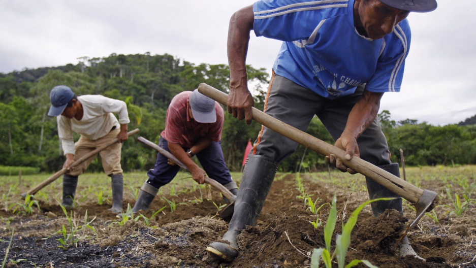 The Pacific trade deal has all kinds of protections for businesses