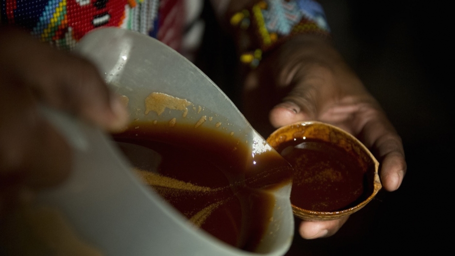 ayahuasca