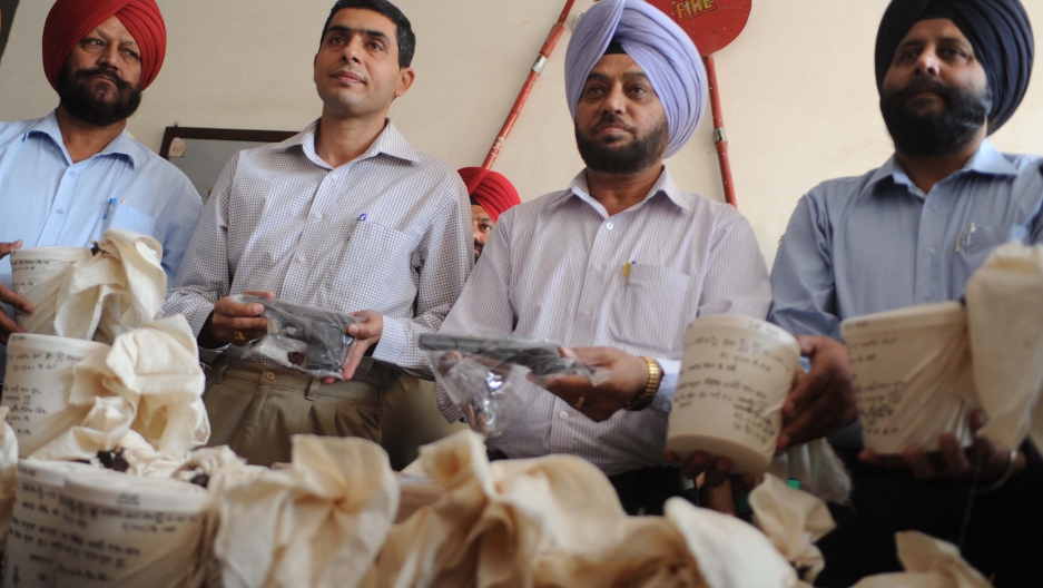 India Drugs ravage Punjab, nation's breadbasket state The World from PRX