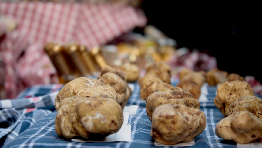The coveted white truffle sits on display at the White Truffle Festival in Alba, Northern Italy. The coveted white truffle sits on display at the White Truffle Festival in Alba, Northern Italy.