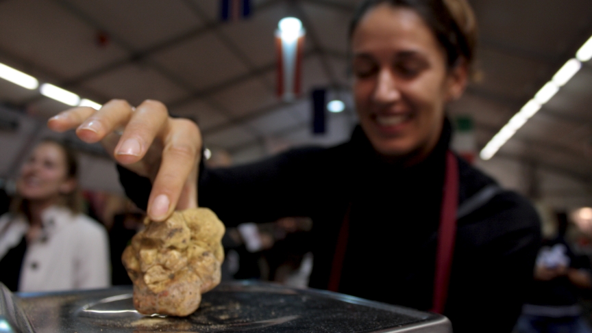 A seller weighs a white truffle. In the local market, a piece like this one can go for $450. A seller weighs a white truffle. In the local market, a piece like this one can go for $450.