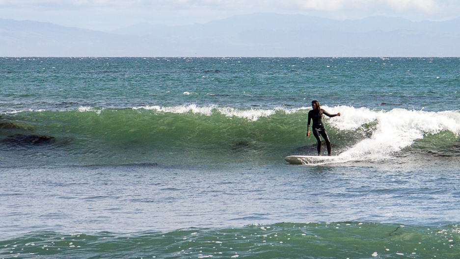 surfer surfer