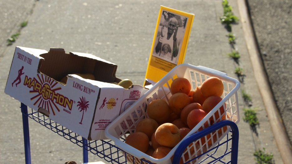 The Enthusiasm Awakeners put apricots and mangos out for the runners. The Sri Chinmoy quote under his picture reads, “The joy of the journey’s start is dream-ful. The pride of the journey’s end is God-ful.” The Enthusiasm Awakeners put apricots and mangos out for the runners. The Sri Chinmoy quote under his picture reads, “The joy of the journey’s start is dream-ful. The pride of the journey’s end is God-ful.”