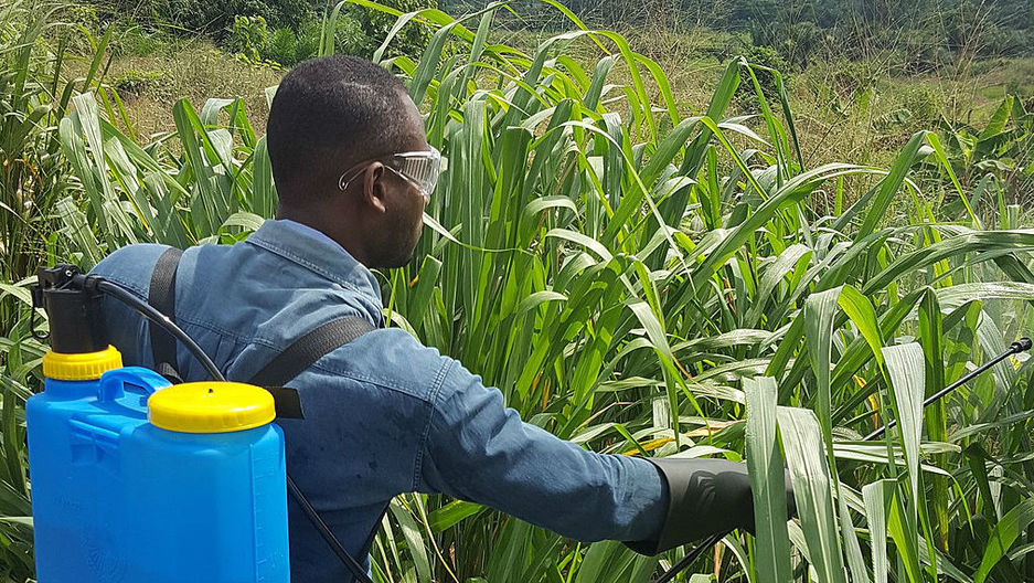 Inside Monsanto’s day in court Scientists weigh in on glyphosate’s