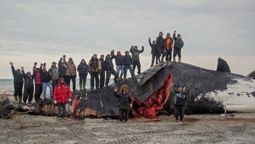 a small inuit community in the northern canada territory of nunavut