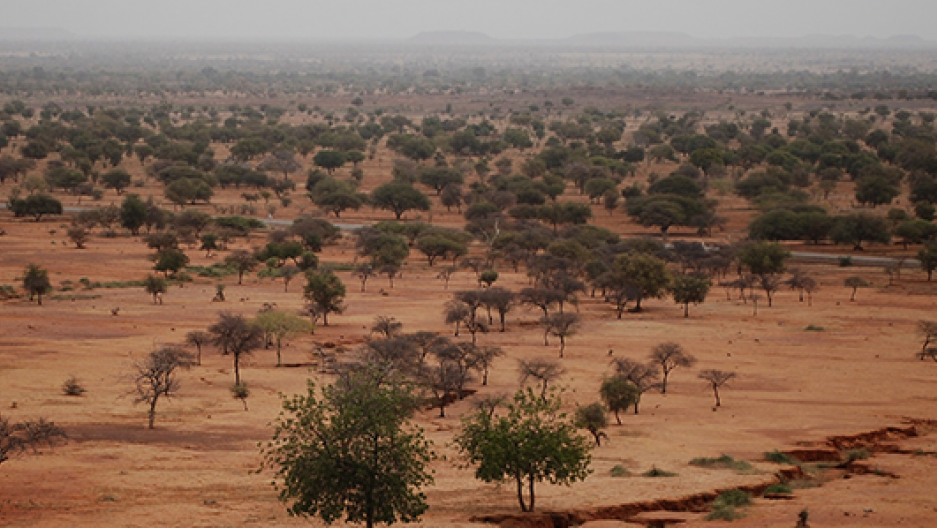 Africa's Great Green Wall is making progress