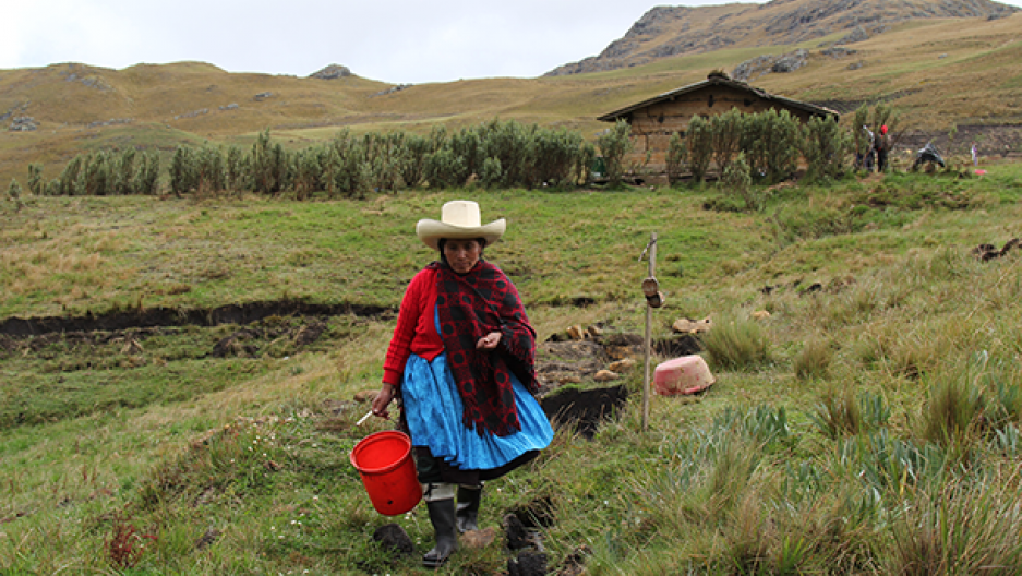 The Latest Latin American Winner Of The Goldman Environmental Prize