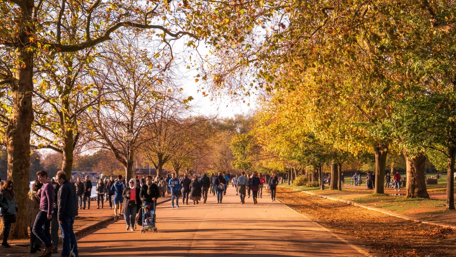 I Walk In The Park I Walk In The Park