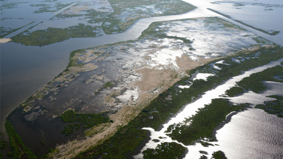 The 50 billion plan to save Louisiana's wetlands Public Radio