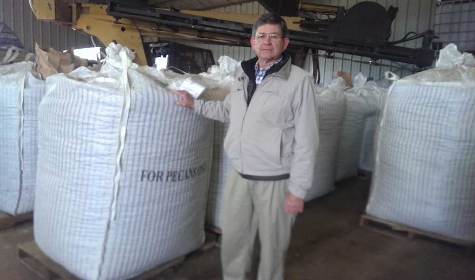 The Chinese went wild for American pecans — which may be bad news for