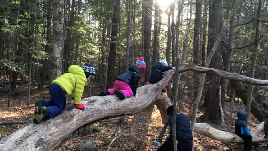 How To Protect Kids From Nature Deficit >> Nature Based Preschools Where Children Spend Most Of Their Day How To Protect Kids From Nature Deficit >> Nature Based Preschools Where Children Spend Most Of Their Day