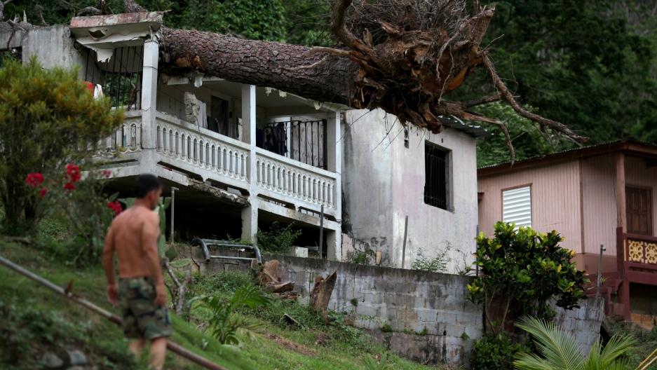 months after hurricane maria slammed puerto rico damage like this fallen tree on a roof - Puerto Rico Christmas months after hurricane maria slammed puerto rico damage like this fallen tree on a roof - Puerto Rico Christmas