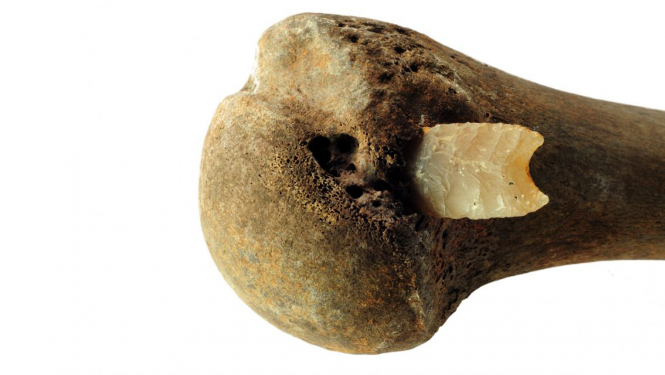 Brutal Bronze Age battle discovery changes understanding of history Public Radio International