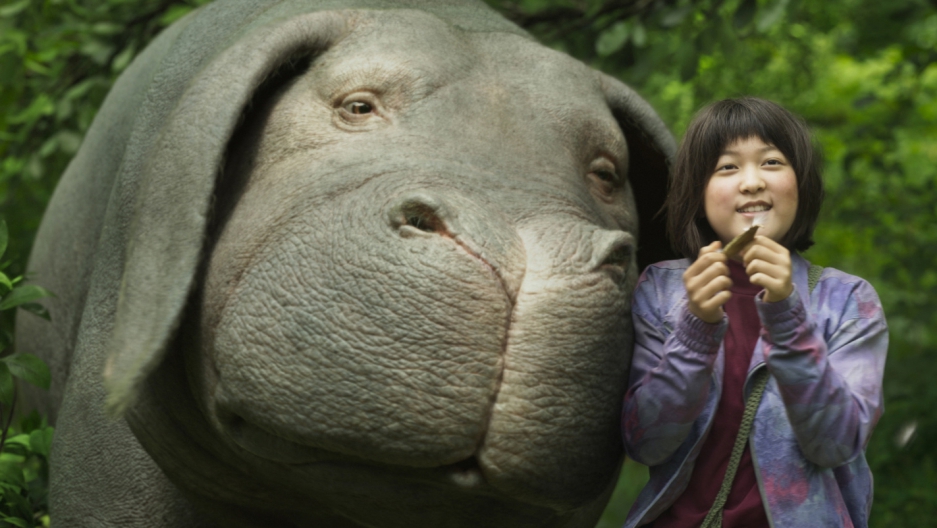 a netflix animal rights movie came at a strange time for south korea