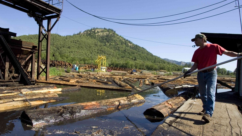 As logging disappears, rural Oregon struggles to put its financial