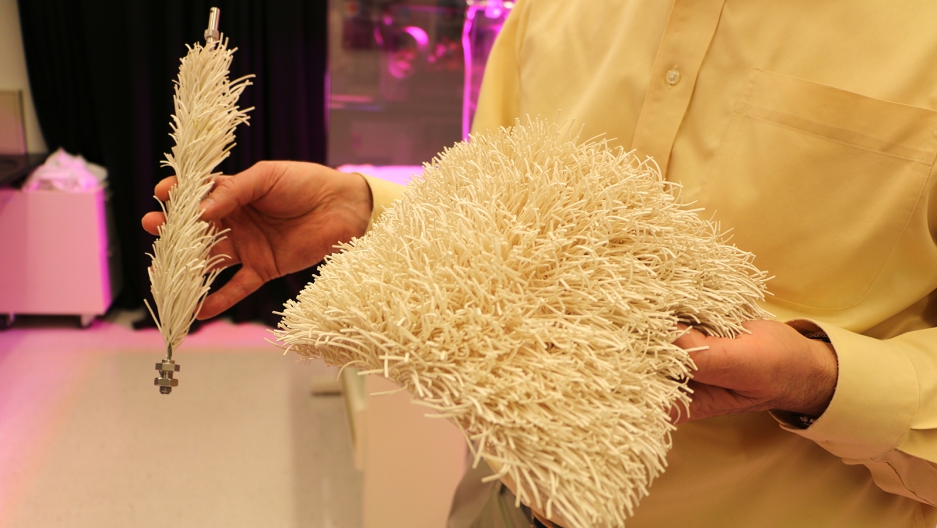 Is an artificial tree part of the solution to climate change? These guys think so.